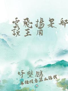 云飞扬是哪本小说主角