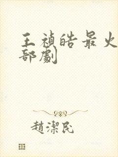 王祯皓最火的三部剧