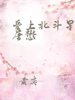 爱上北斗星男友唐懋