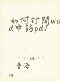 如何打开word中的pdf