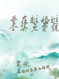爱在离婚进行时全集免费观看