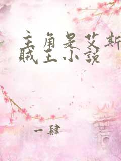 主角是艾斯的海贼王小说