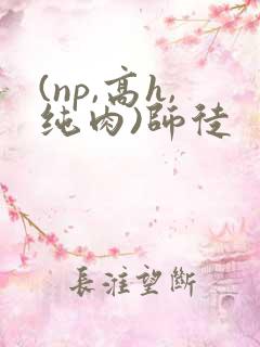 (np,高h,纯肉)师徒