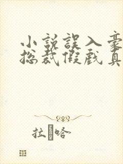 小说误入豪门,总裁假戏真做结局