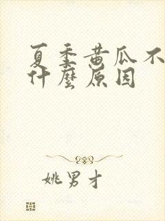 夏季黄瓜不结瓜什么原因