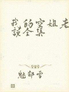我的空姐老婆小说全集