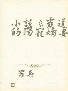 小说《霸道总裁的独宠娇妻》