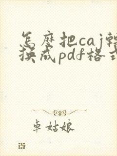 怎么把caj转换成pdf格式