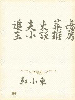 追夫火葬场双男主小说推荐