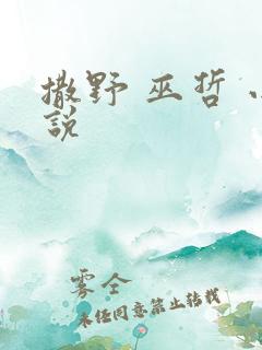 撒野 巫哲 小说