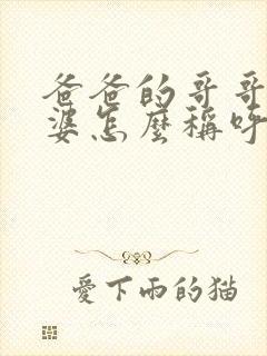 爸爸的哥哥的老婆怎么称呼?