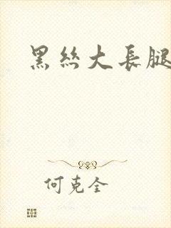 黑丝大长腿在线