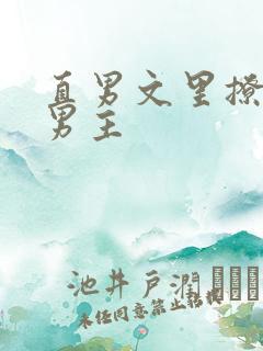 直男文里撩言情男主