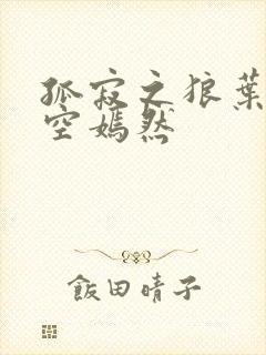 孤寂之狼叶凡司空嫣然