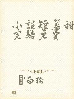 小说短篇甜宠文完结免费