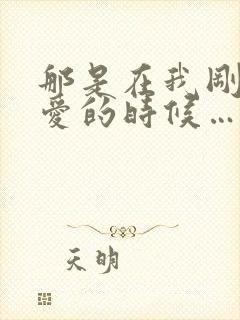 那是在我刚刚懂爱的时候…什么歌