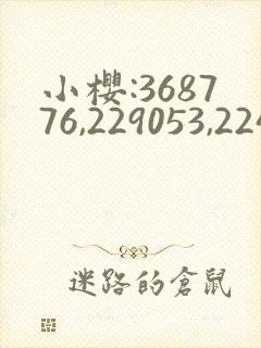 小樱:368776,229053,224503