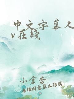 中文字幕人妻av在线
