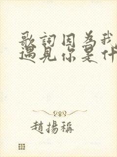 歌词因为我刚好遇见你是什么歌