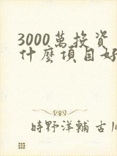 3000万投资什么项目好