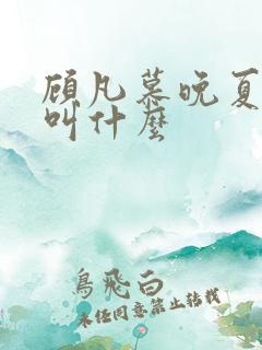 顾凡慕晚夏短剧叫什么