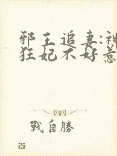 邪王追妻:神医狂妃不好惹