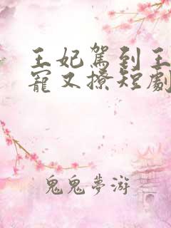 王妃驾到王爷又宠又撩短剧