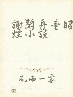 谢闻舟童昭柳如烟小说