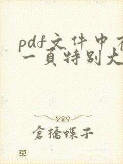 pdf文件中有一页特别大如何调整