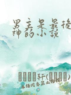 男主是最后一个神的小说