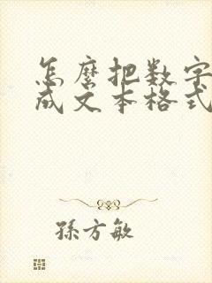 怎么把数字转换成文本格式