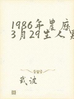 1986年农历3月29生人男命运