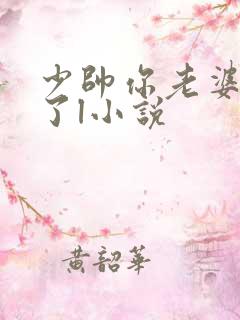 少帅你老婆又跑了l小说