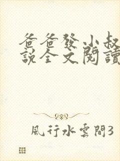 爸爸发小叔叔小说全文阅读