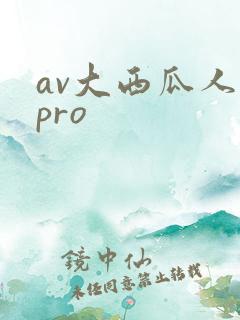 av大西瓜人妻pro