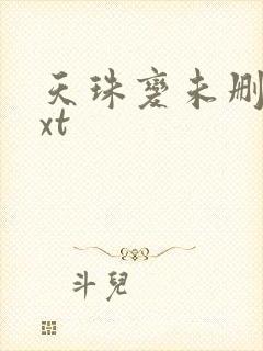 天珠变未删减txt