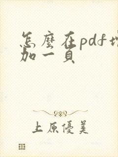 怎么在pdf增加一页