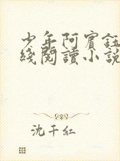 少年阿宾钰慧在线阅读小说