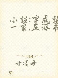 小说:穿成炮灰一家,反派弟弟忙开荒