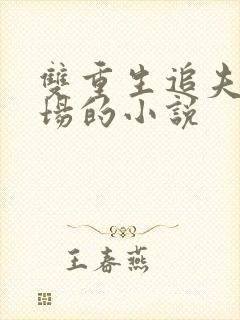 双重生追夫火葬场的小说