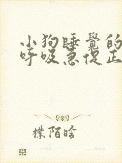 小狗睡觉的时候呼吸急促正常吗