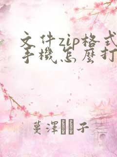 文件zip格式手机怎么打开