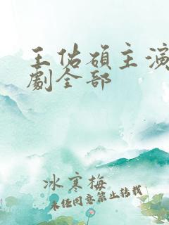 王佑硕主演电视剧全部