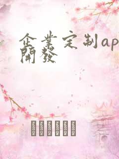 企业定制app开发