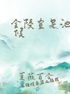 金陵岂是池中物 候