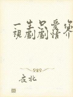 一生只爱你 电视剧剧情介绍