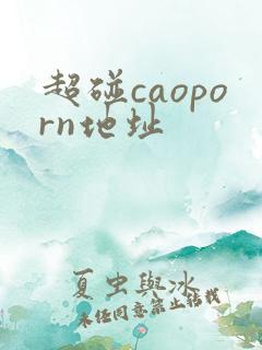 超碰caoporn地址