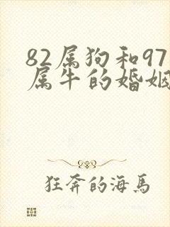 82属狗和97属牛的婚姻如何