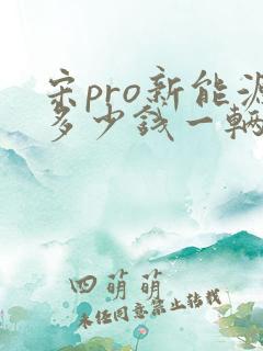 宋pro新能源多少钱一辆