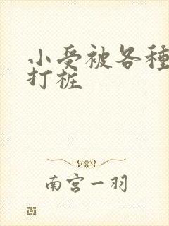 小受被各种姿势打桩